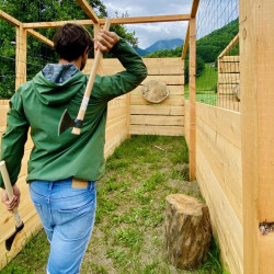 Throwing axes